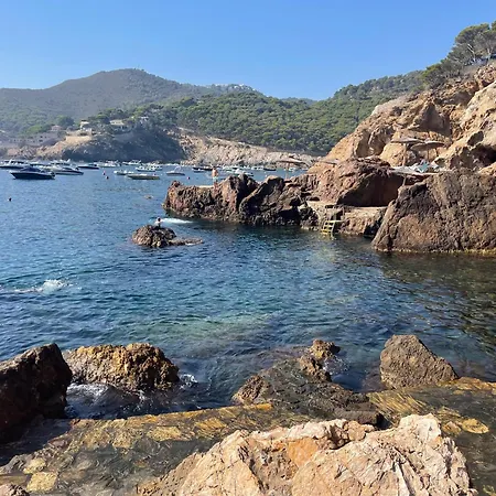 Apartment Cap Sa Sal Awesome Begur